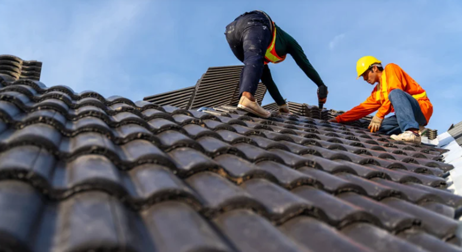 The Role Of A Roof Consultant In Large-Scale Projects