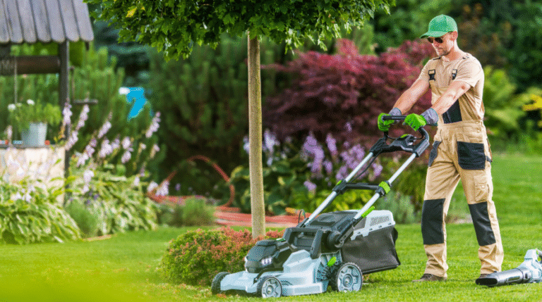 The Benefits of Seasonal Lawn Care for Year-Round Beauty