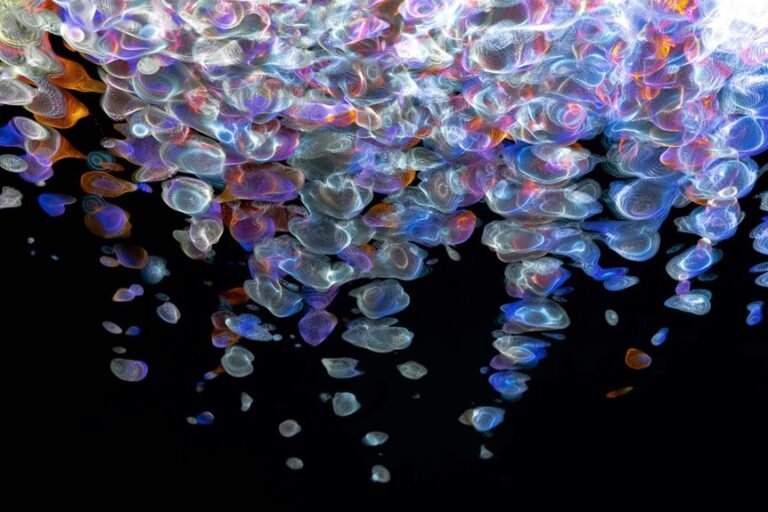 fusion beam 2130062244 digital flow