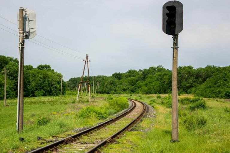 growth signal 22123059 conversion path